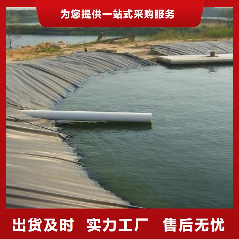 土工膜膨润土防水毯大品牌值得信赖规格齐全实力厂家