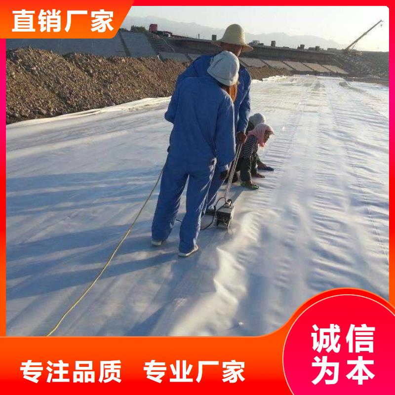 复合土工膜双向塑料土工格栅支持大小批量采购重信誉厂家