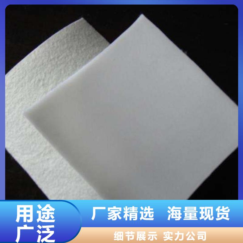 复合土工膜PP焊接土工格栅快速生产当地公司