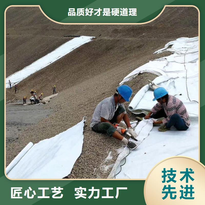 【复合土工膜防寒布厂家拥有先进的设备】准时交付