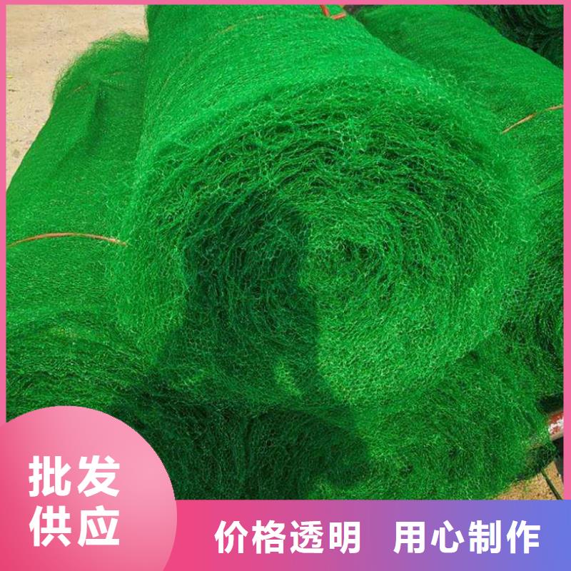 三维植被网塑料土工滤网产地工厂厂家大量现货