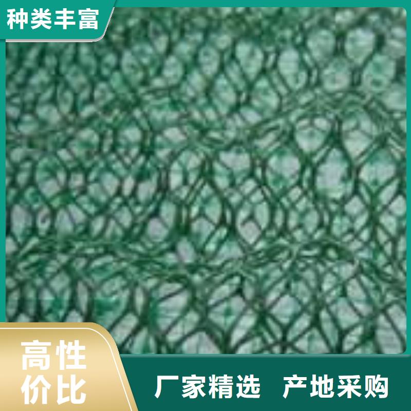 【三维植被网】防渗膜型号全价格低产地直销