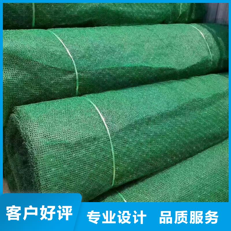 三维植被网,PP焊接土工格栅厂诚信经营同城经销商