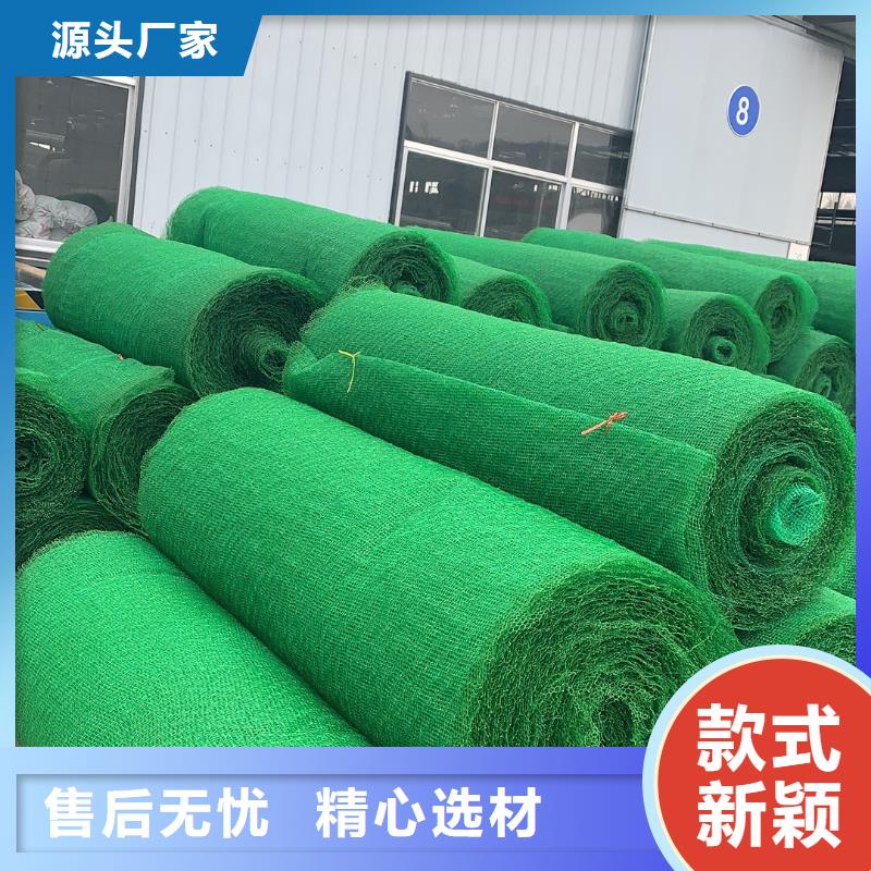 三维植被网,PP焊接土工格栅甄选好物同城品牌