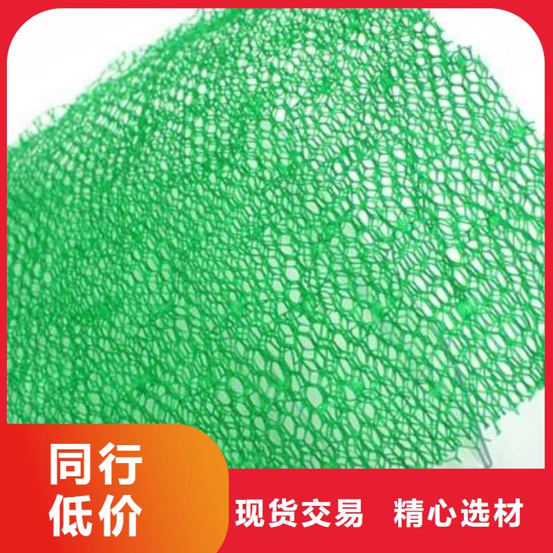 【三维植被网,HDPE土工膜专业完善售后】本地制造商