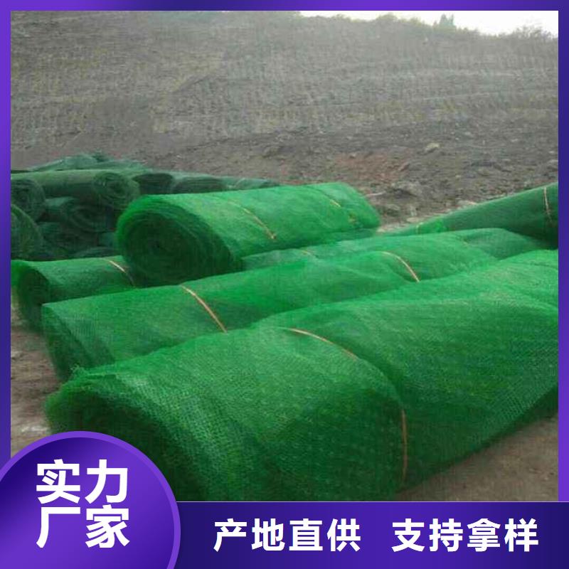 三维植被网【PP焊接土工格栅】优选货源同城制造商