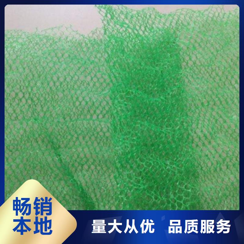 三维植被网HDPE黑色土工膜精致工艺生产经验丰富