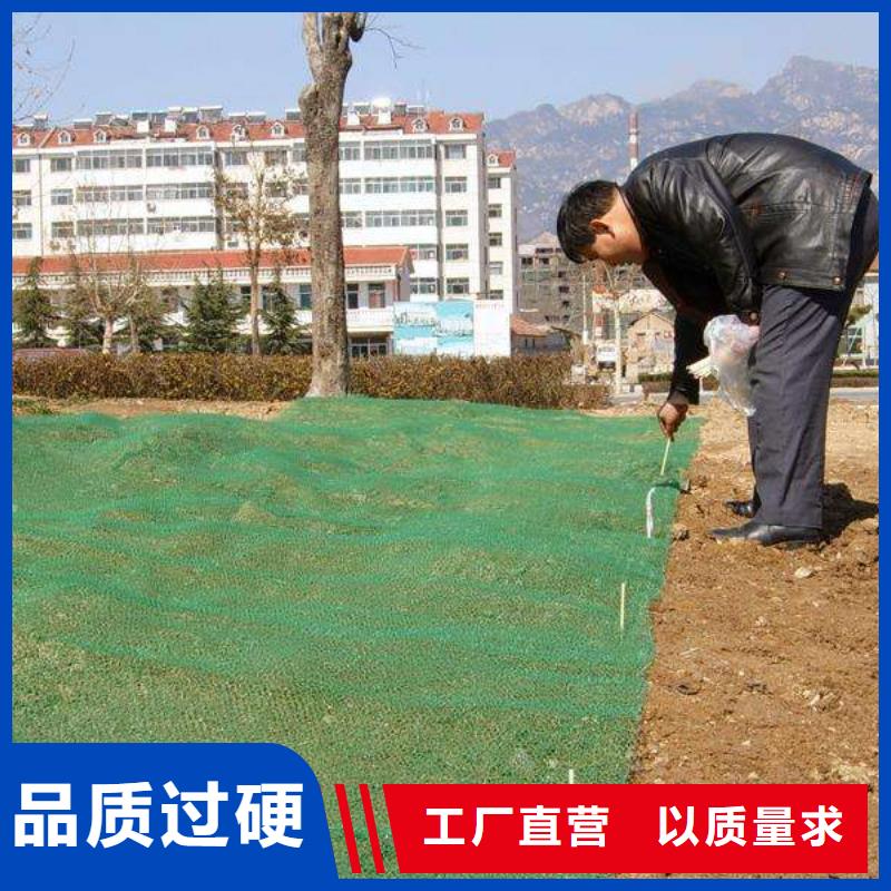 三维植被网单向塑料土工格栅货真价实欢迎来厂考察