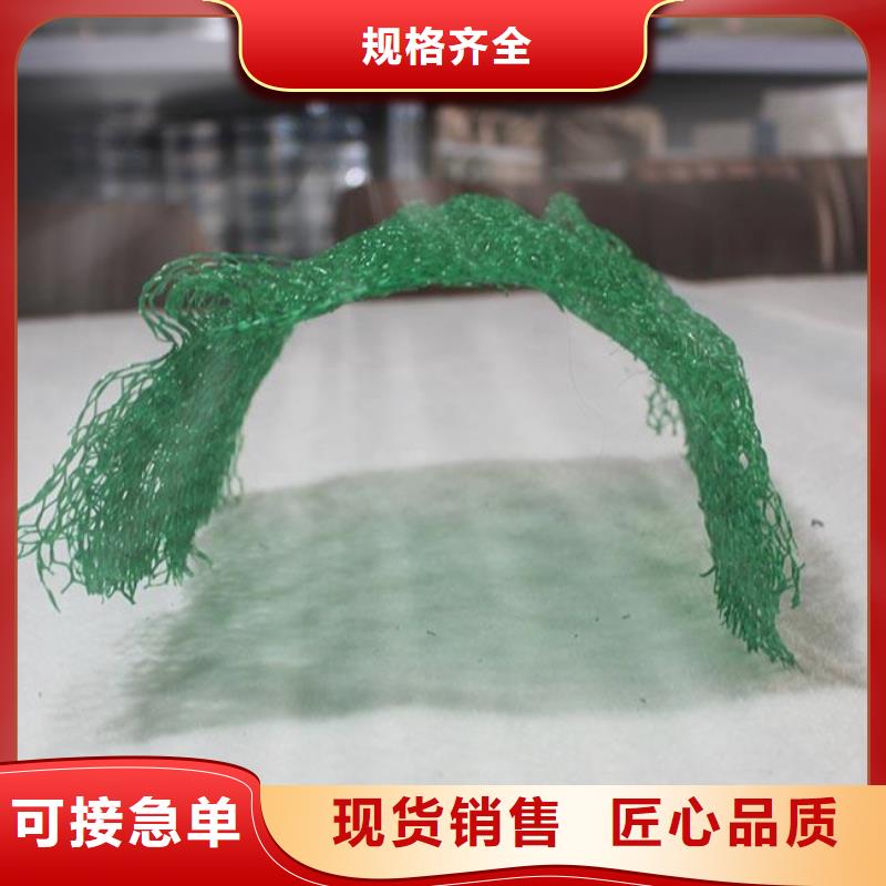 三维植被网复合土工膜适用范围广同城品牌