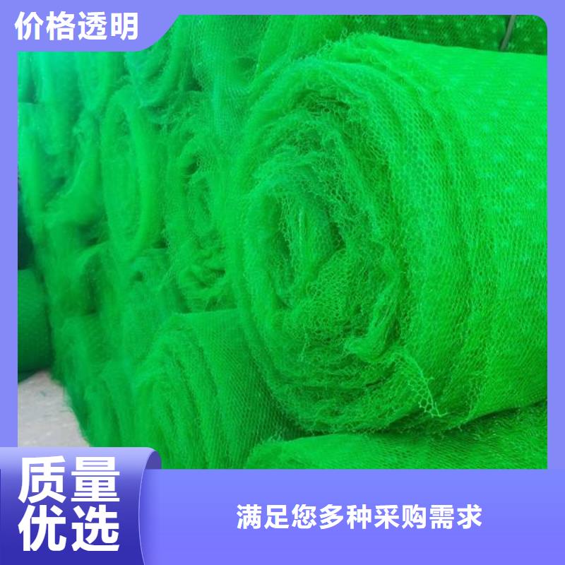 三维植被网海量现货直销精心打造