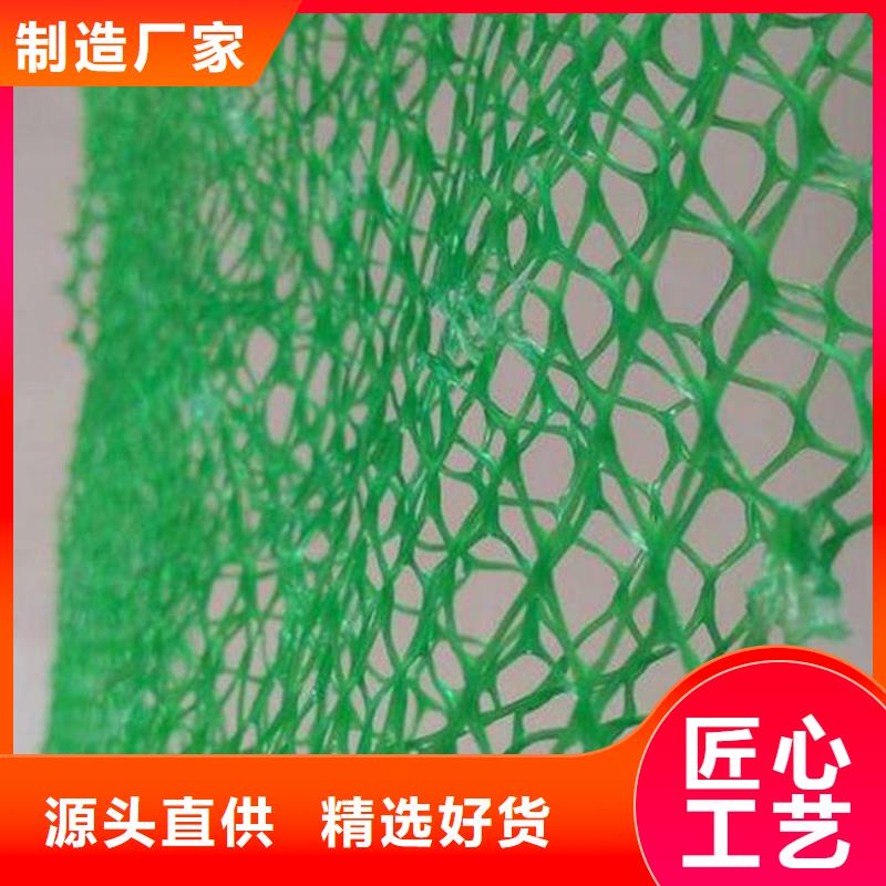 三维植被网玻纤土工格栅来图定制量大从优严格把控质量