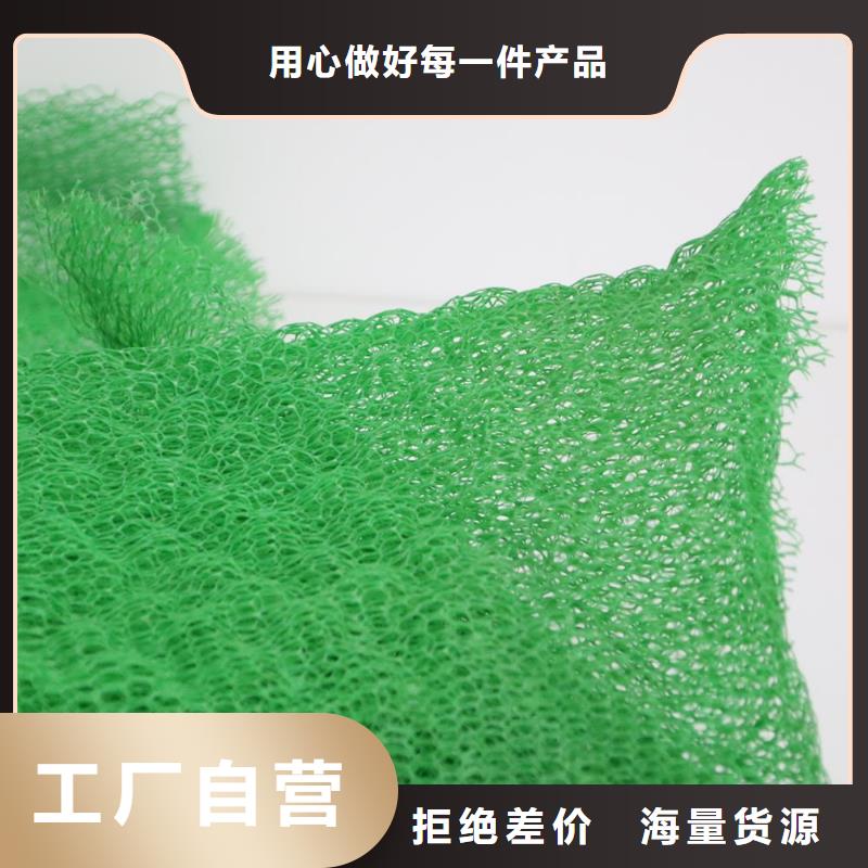 三维植被网-PVC防水卷材优质材料厂家直销真实拍摄品质可靠