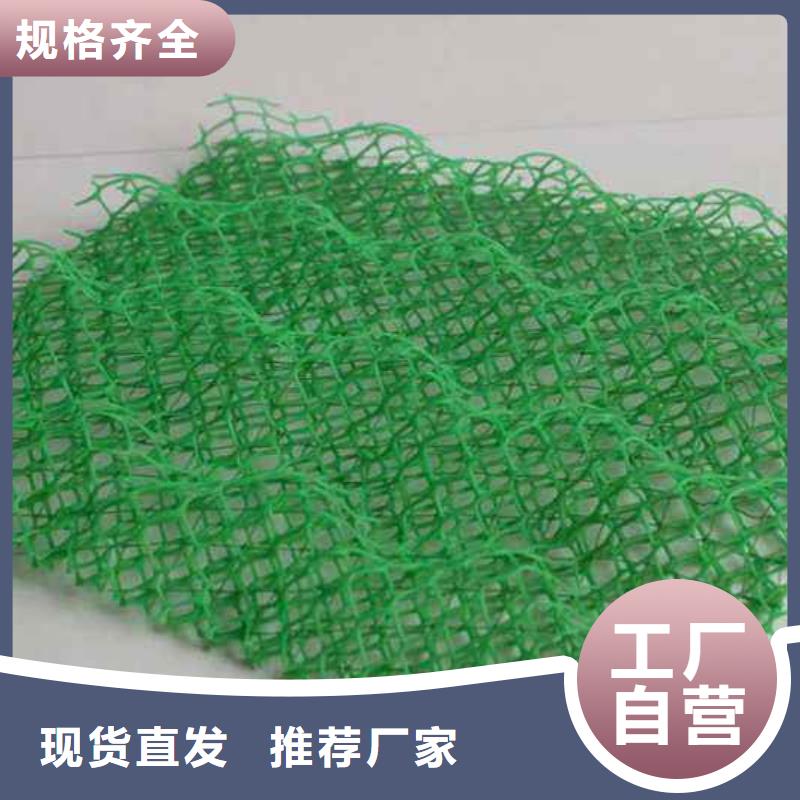 三维植被网,单向塑料土工格栅专注细节专注品质供应商