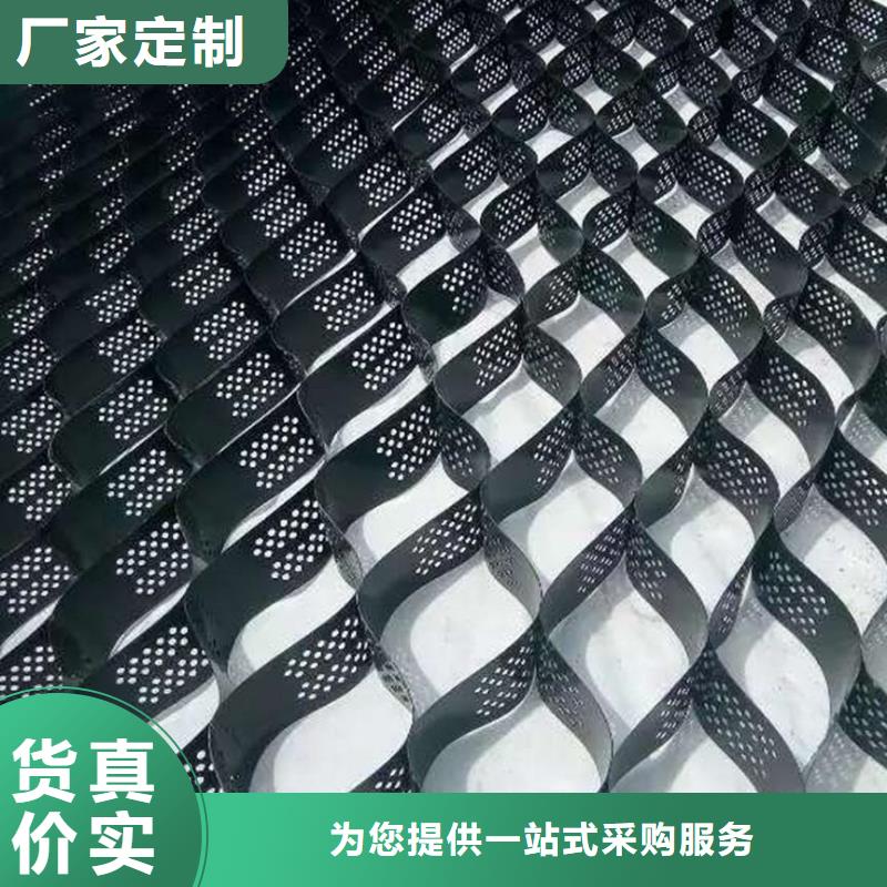 【土工格室款式新颖】当地生产厂家