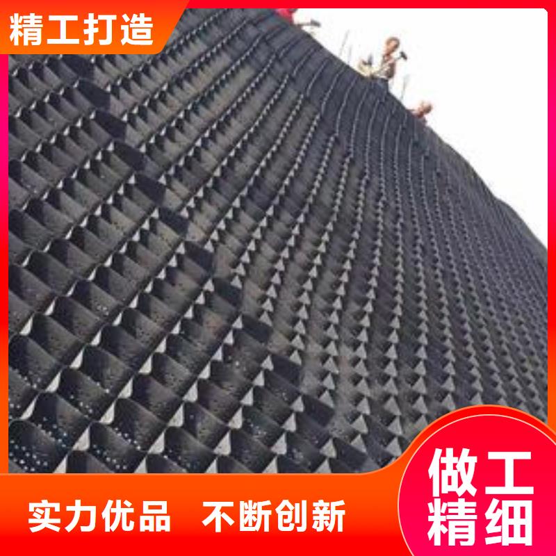 土工格室蜂巢格室源厂直接供货同城品牌