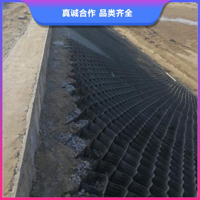 土工格室HDPE土工膜实力商家供货稳定本地服务商