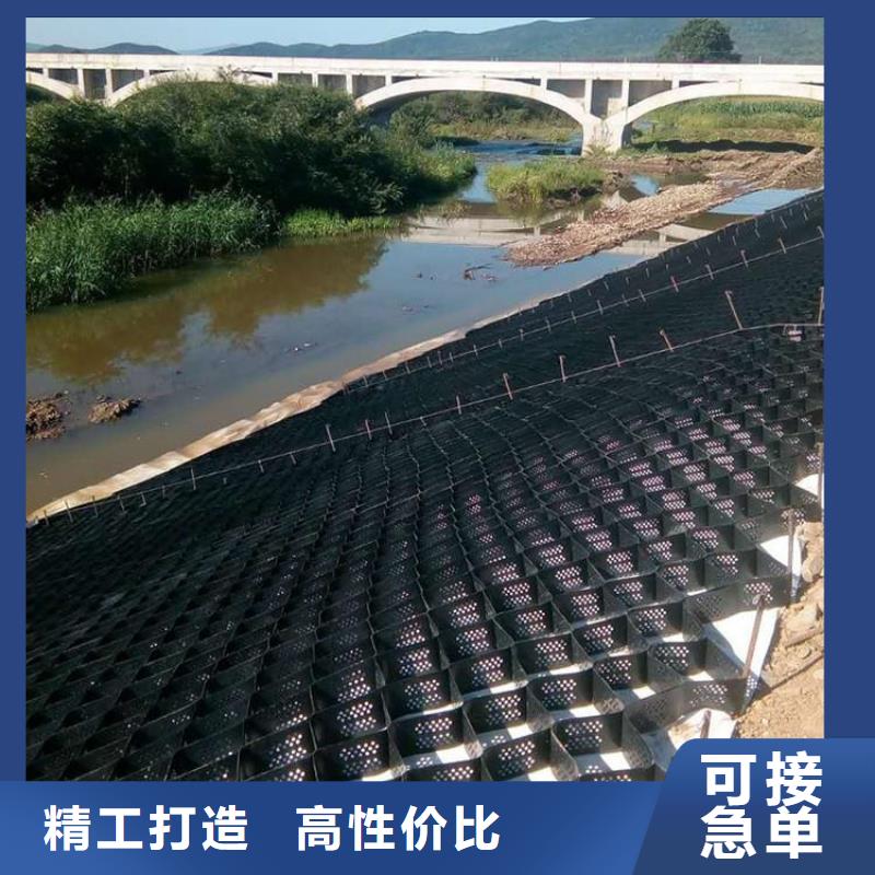 【土工格室】塑料土工滤网专业生产厂家高标准高品质