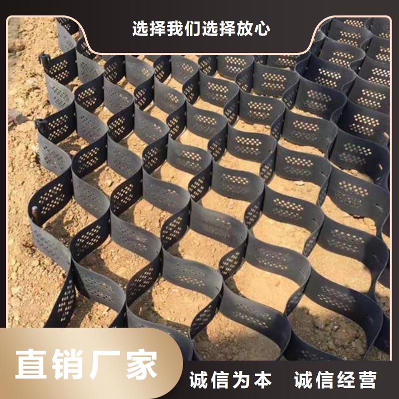 土工格室PVC防水卷材畅销当地一手价格