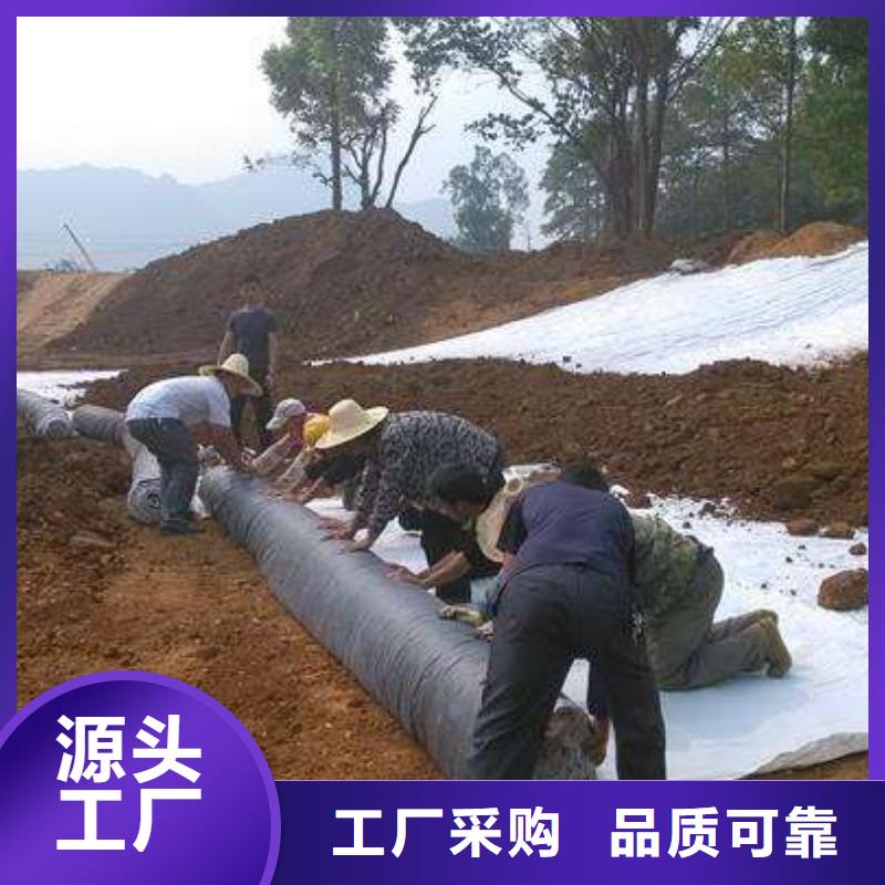 膨润土防水毯_土工格室订制批发自营品质有保障