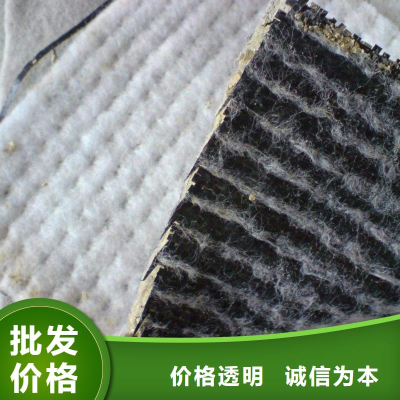 膨润土防水毯三维土工网垫来图来样定制[本地]制造商