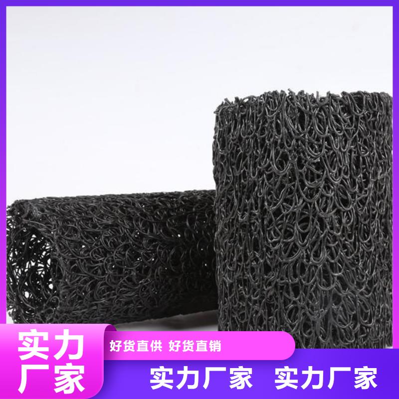 【塑料盲沟,三维复合排水网源头厂家供应】服务始终如一
