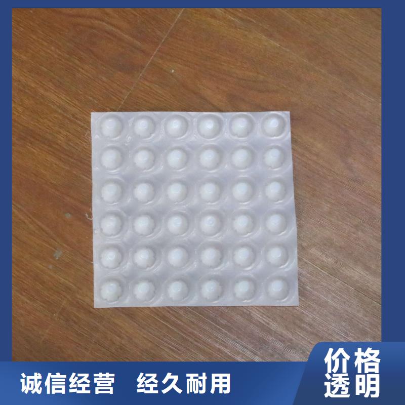 排水板_软式透水管品种全当地供应商