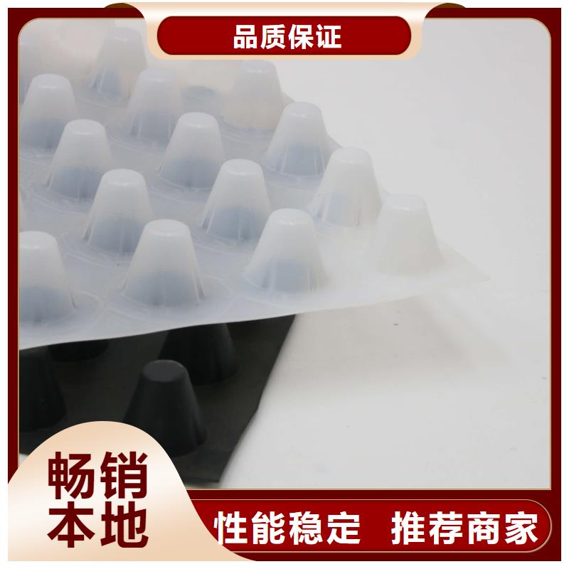 排水板_蜂巢格室24小时下单发货当地公司