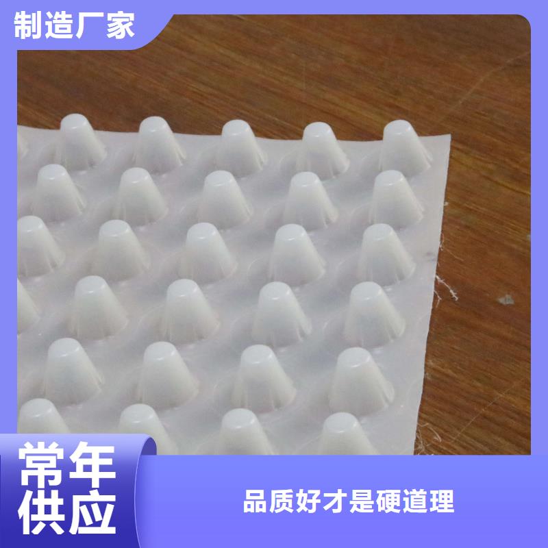 【排水板】土工布打造好品质同城厂家