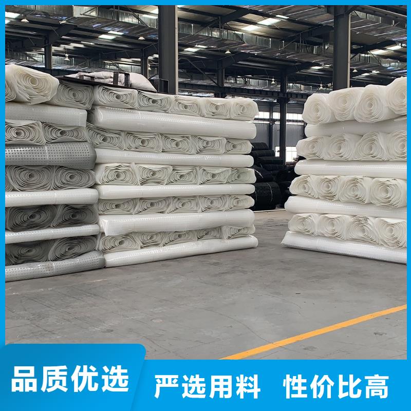 排水板双向拉伸塑料格栅品质服务质量看得见