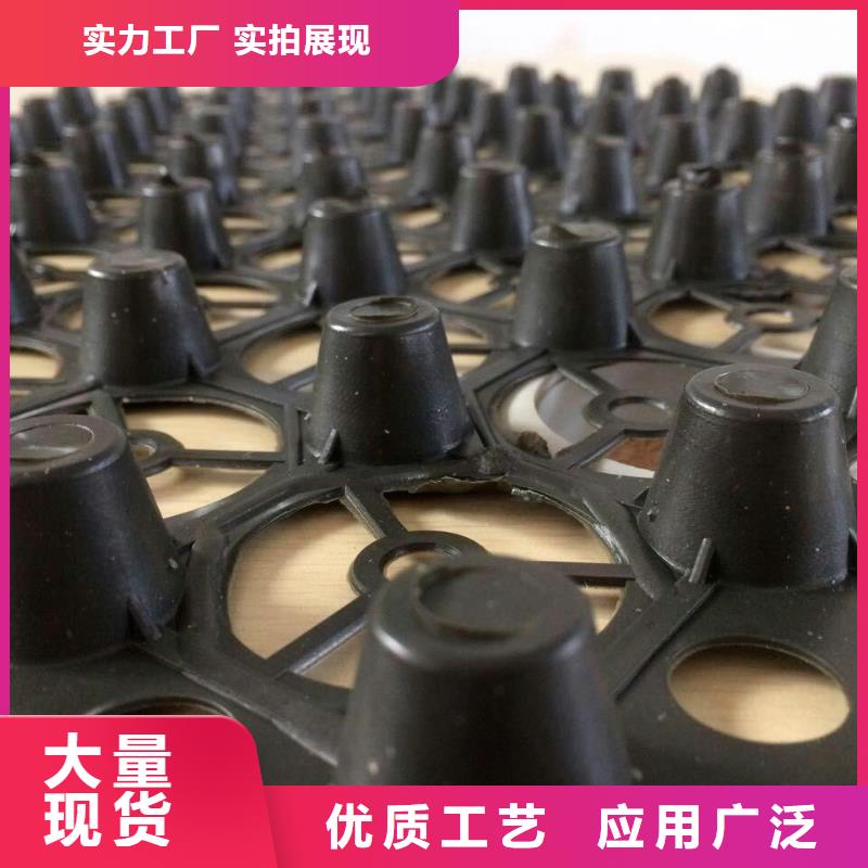 排水板_三维土工网垫交货准时当地制造商