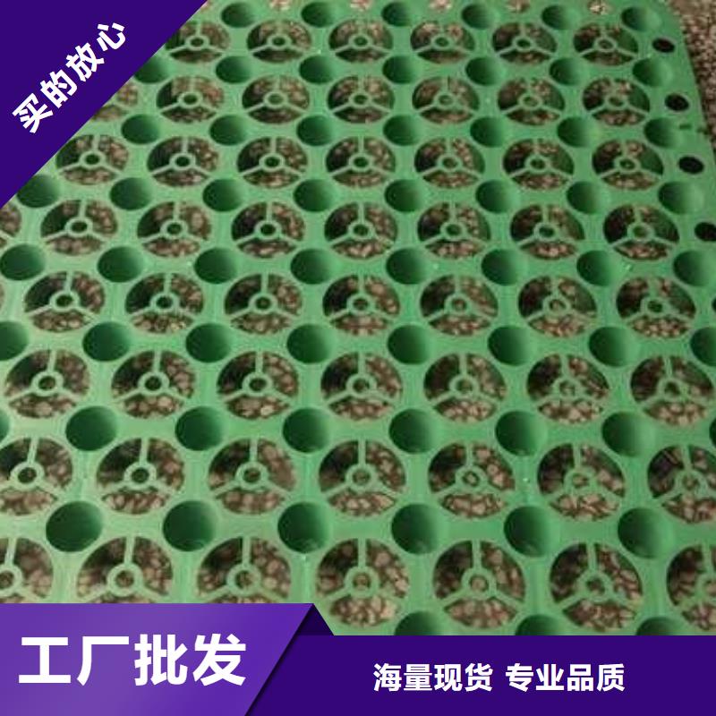 【排水板-涤纶土工格栅专注品质】服务至上
