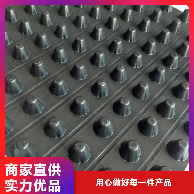 【排水板】膨润土防水毯诚信商家海量货源