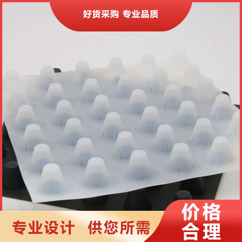 排水板聚乙烯土工膜同行低价专业生产设备
