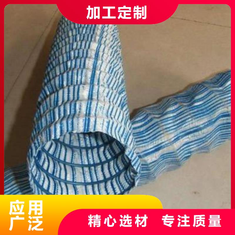 软式透水管三维植被网做工细致专业生产品质保证
