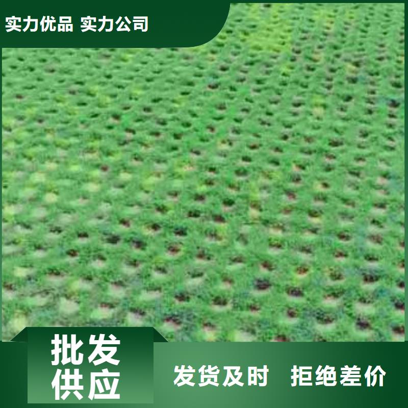 【植草格】-单向塑料土工格栅源头厂源头货厂家拥有先进的设备