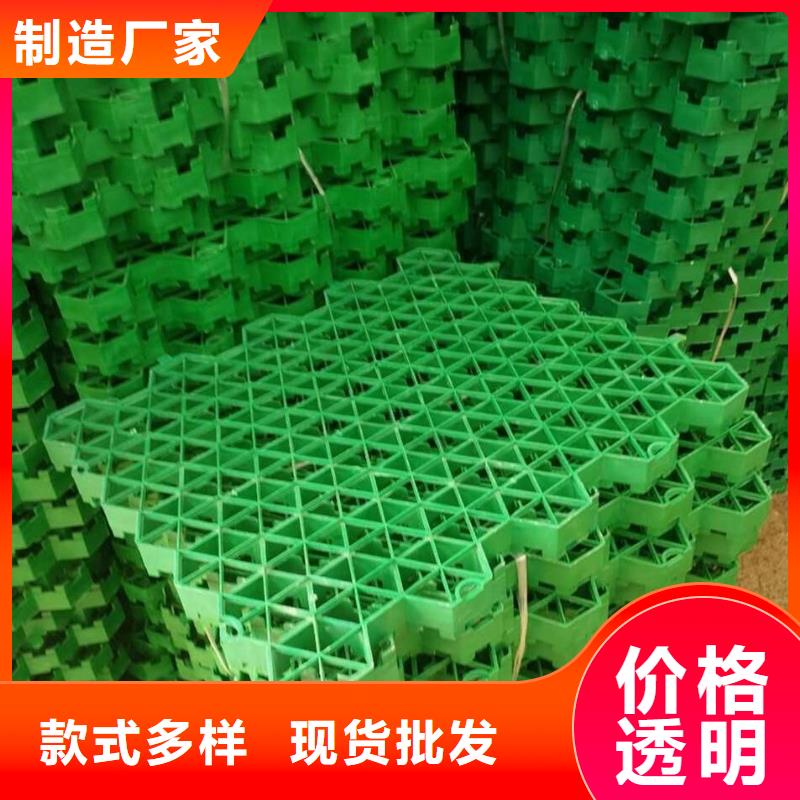 【植草格】-HDPE黑色土工膜多年经验值得信赖供货及时