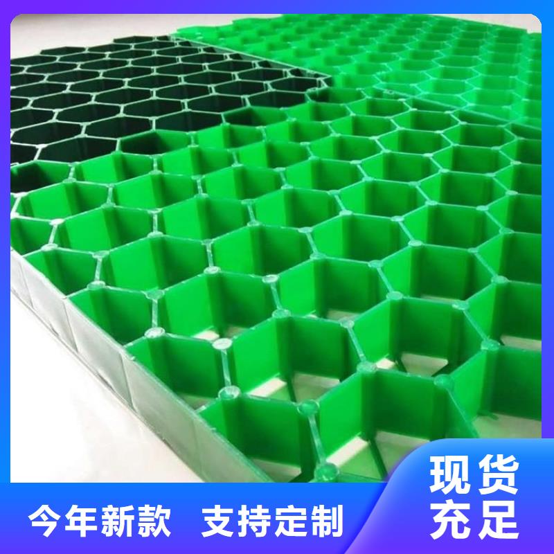 植草格双向塑料土工格栅质量上乘同城货源