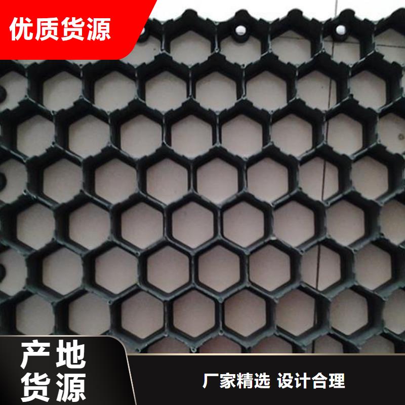 植草格【三维土工网垫】精挑细选好货同城生产厂家