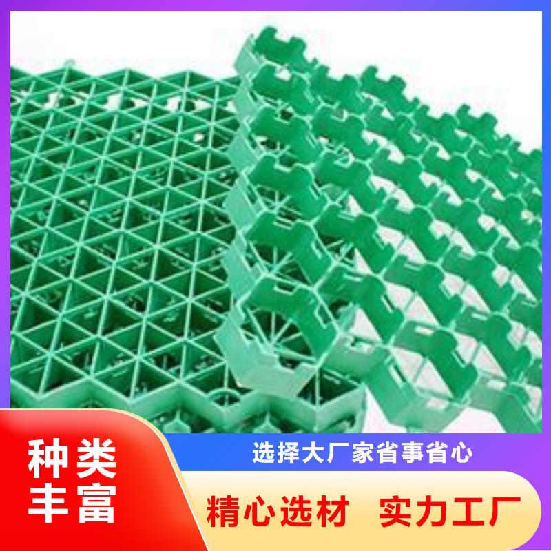植草格土工滤网精心买的是放心