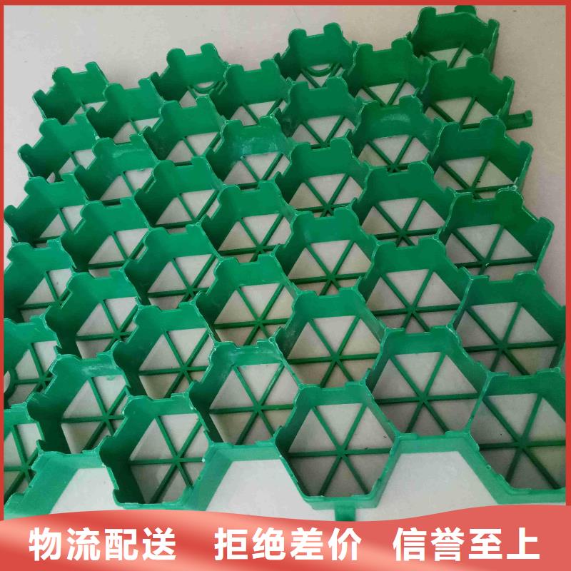植草格加筋布厂家同城生产厂家