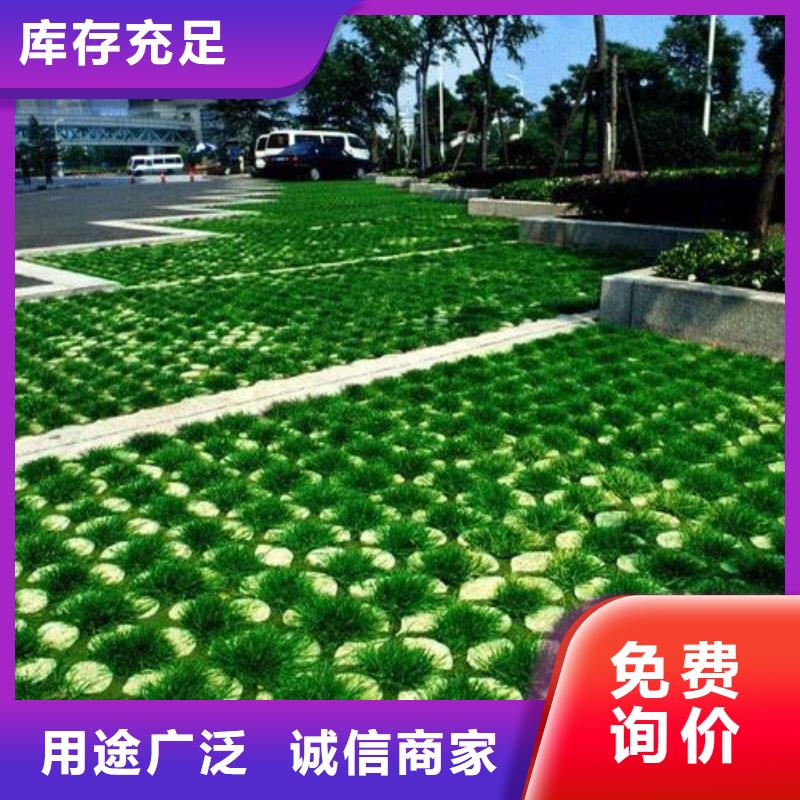 植草格长丝土工布价格有优势本地生产商
