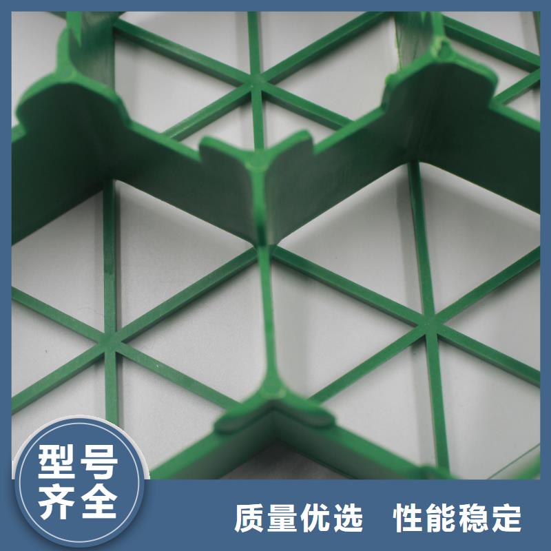植草格复合土工膜常年供应好品质选我们