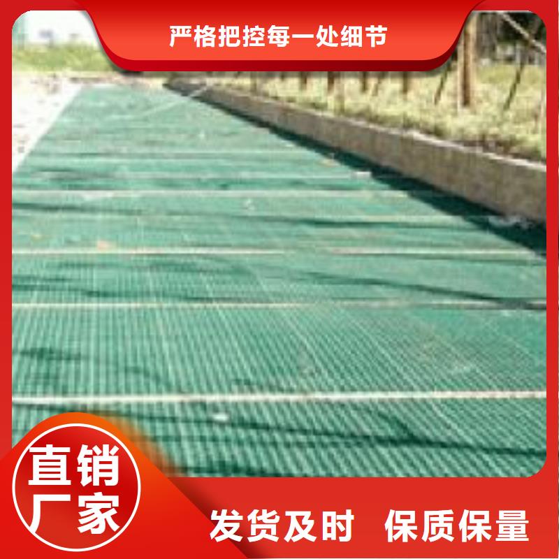 植草格土工滤网欢迎来电询价同城经销商