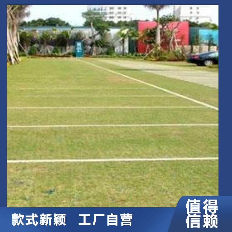植草格复合土工膜用心制作实力商家