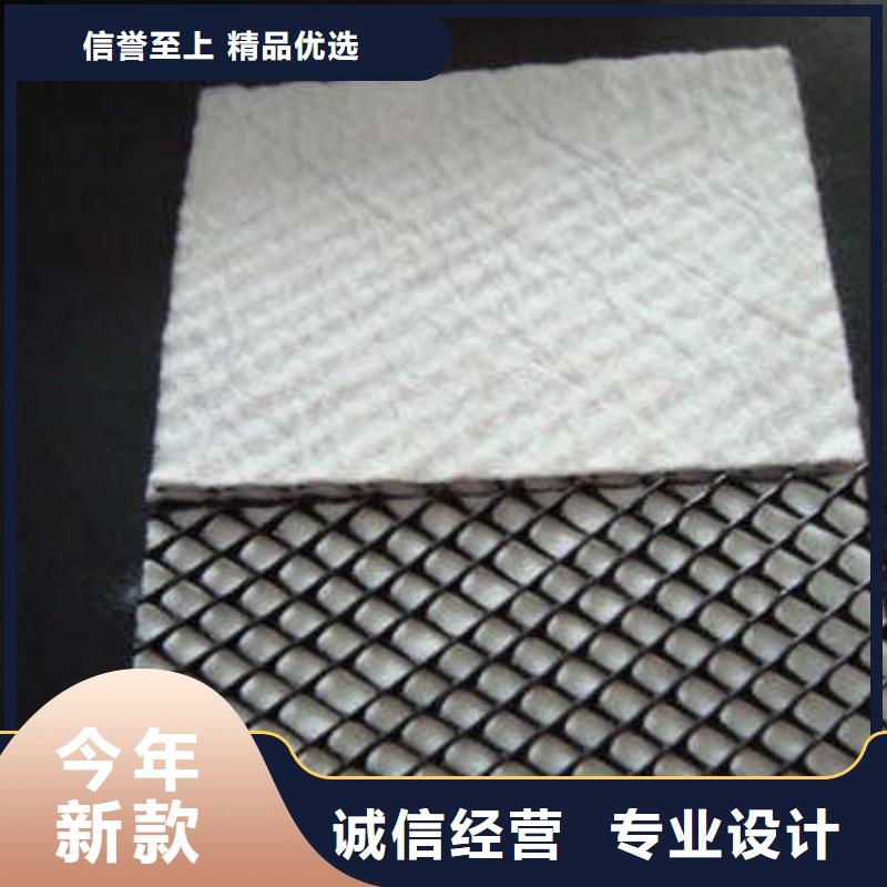 三维复合排水网涤纶土工格栅源头厂商当日价格