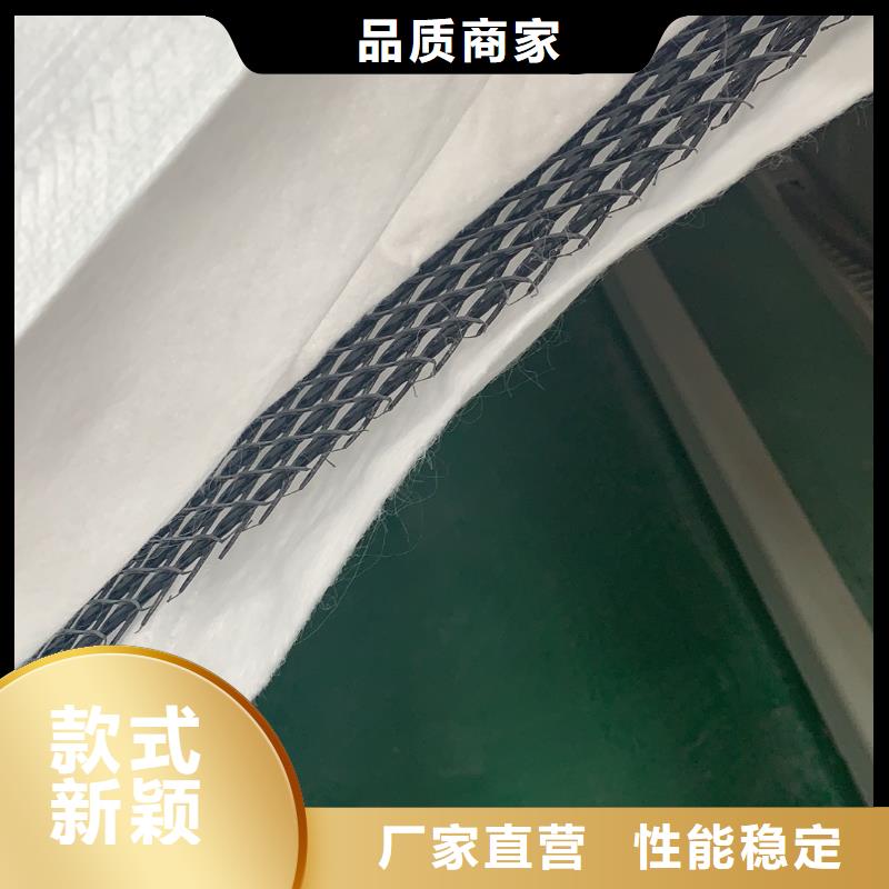 三维复合排水网_三维植被网按需定做信誉至上