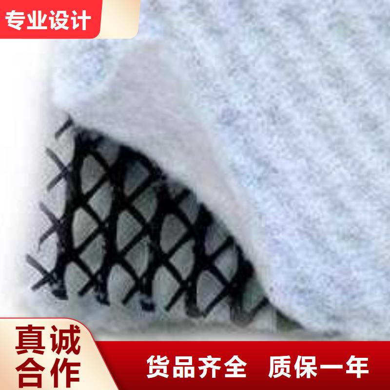 三维复合排水网【PP焊接土工格栅】厂家批发价本地货源