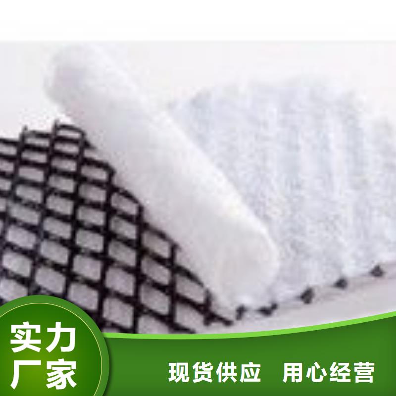 【三维复合排水网】单向塑料土工格栅严选用料当地服务商
