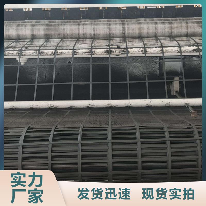 钢塑土工格栅复合土工膜品牌大厂家供您所需