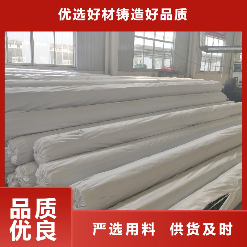 钢塑土工格栅专注质量助您降低采购成本